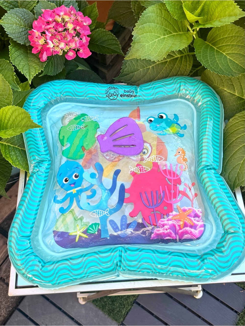 Baby Einstein Sensory Splash Water Mat